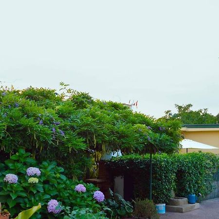 A Tintureira Villa São Martinho de Antas Екстериор снимка