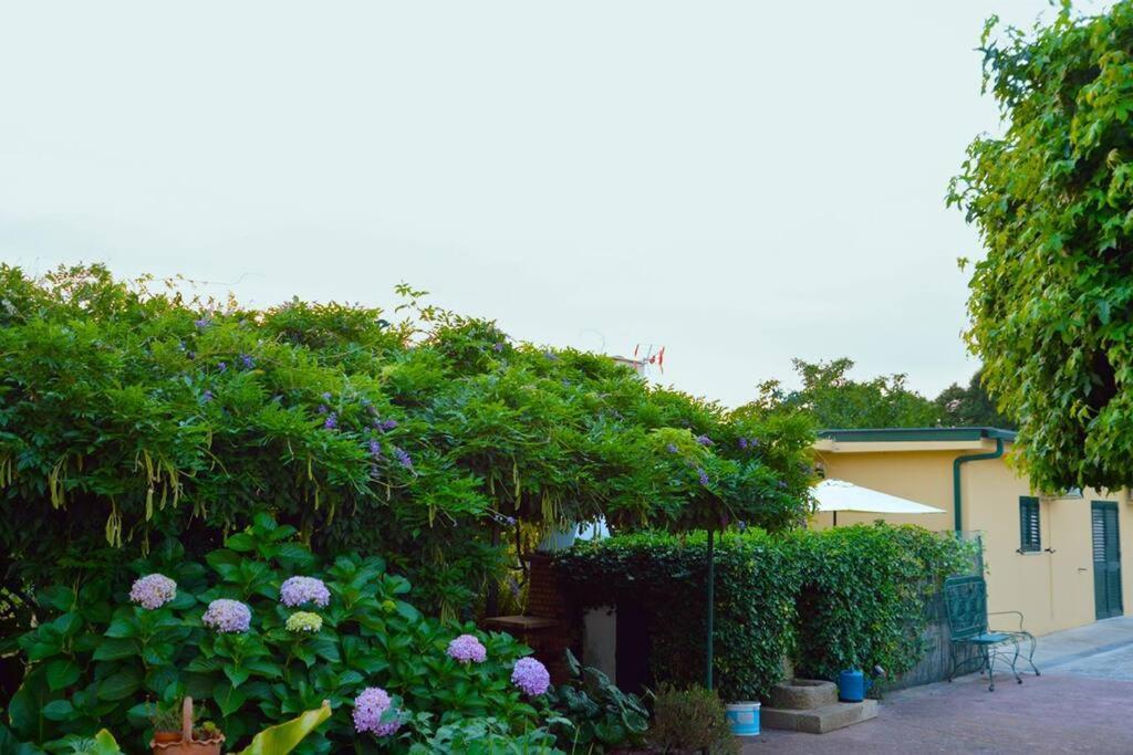 A Tintureira Villa São Martinho de Antas Екстериор снимка