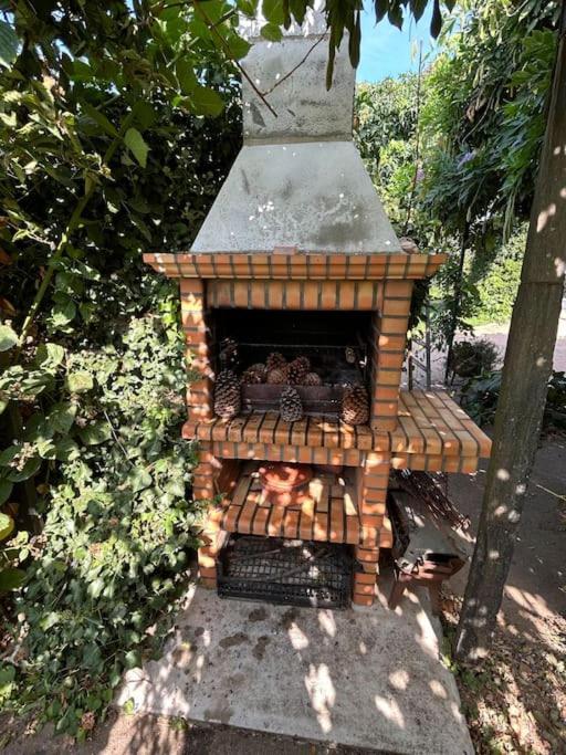 A Tintureira Villa São Martinho de Antas Екстериор снимка