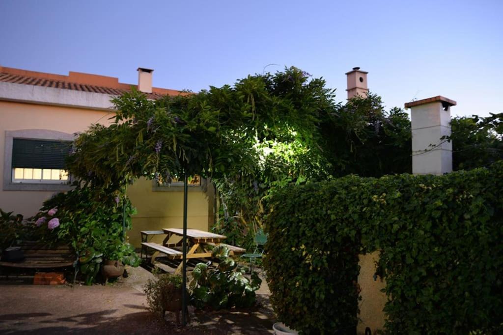 A Tintureira Villa São Martinho de Antas Екстериор снимка