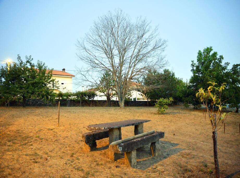 A Tintureira Villa São Martinho de Antas Екстериор снимка