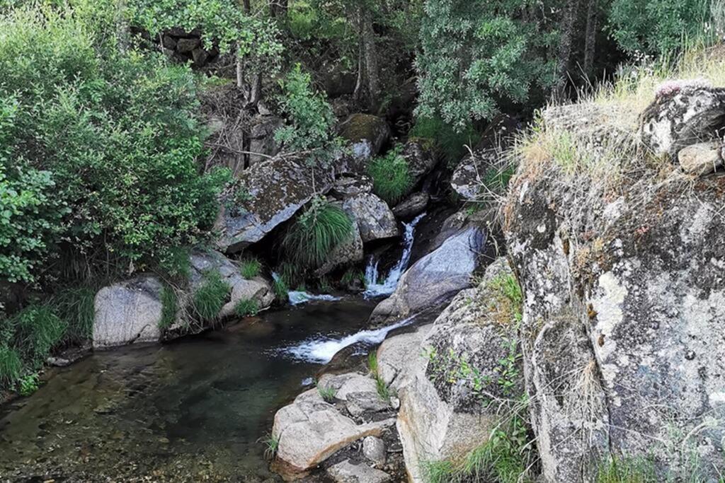 A Tintureira Villa São Martinho de Antas Екстериор снимка